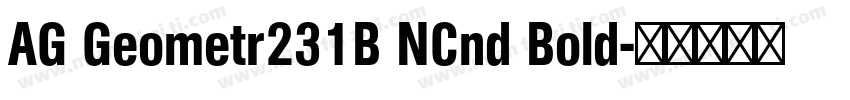 AG Geometr231B NCnd Bold字体转换